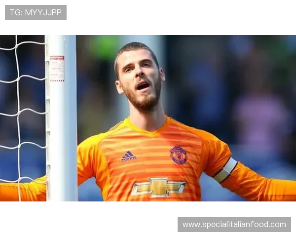 汉堡防守体系近期表现稳健，失球数持续减少