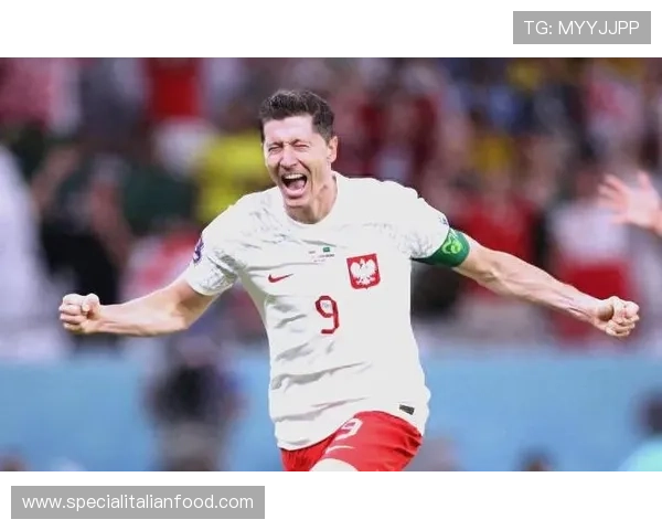 莱万多夫斯基波兰队长交接