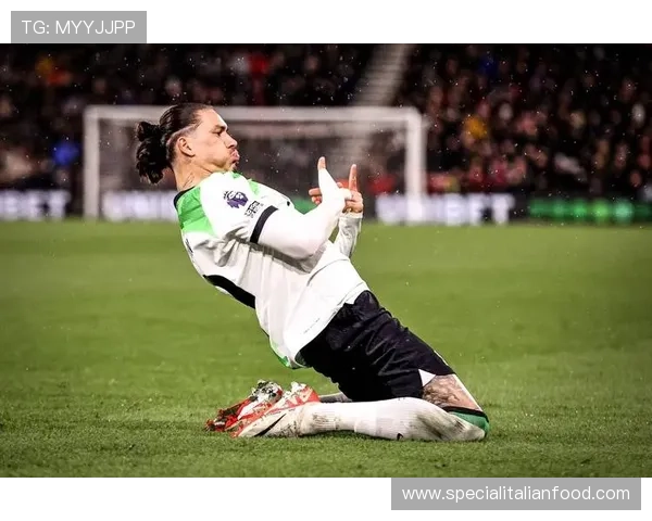 努涅斯南美国家队关键战表现评估