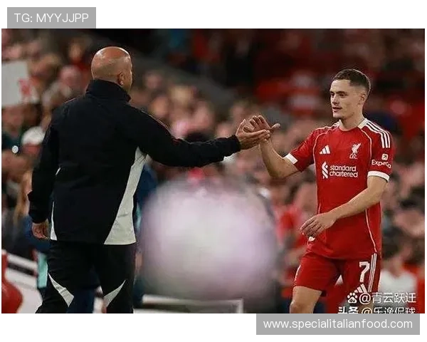 从潜力新星到德甲顶级攻击手：维尔茨的跃迁路径