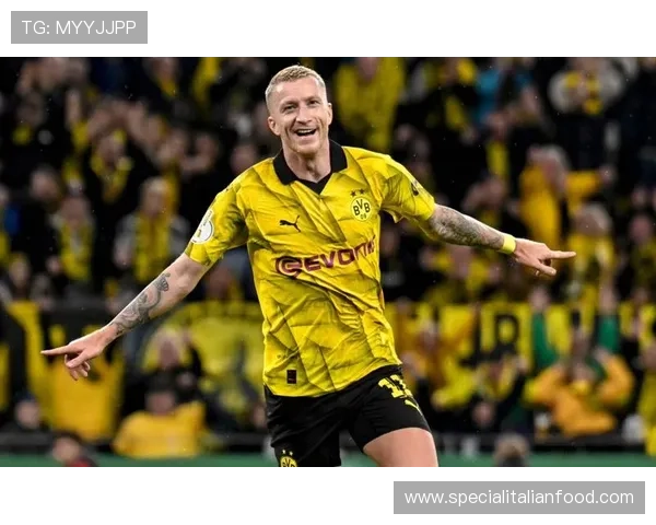 多特蒙德防线表现不稳,对赛季关键阶段竞争格局形成影响 多特蒙德防线表现不稳,对赛季关键阶段竞争格局形成影响